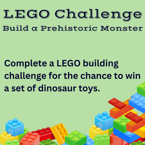 LEGO Challenge: Buil